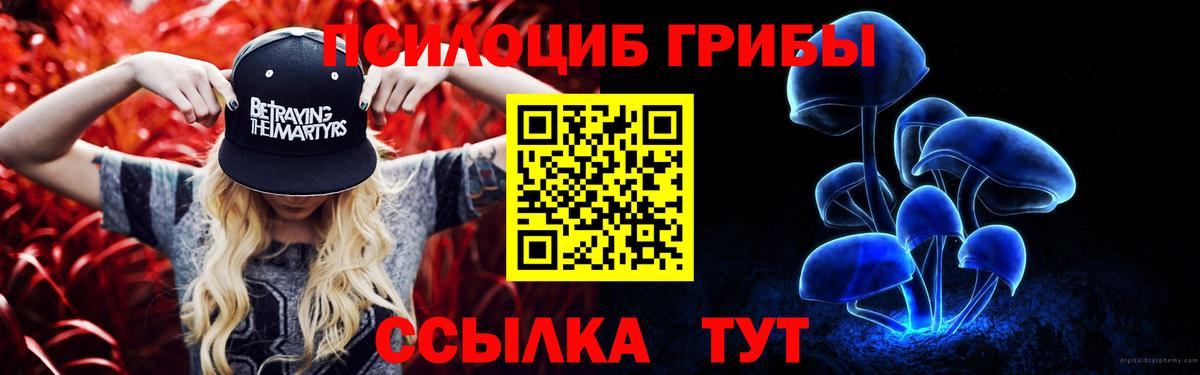 Псилоцибиновые грибы Magic Shrooms Североуральск